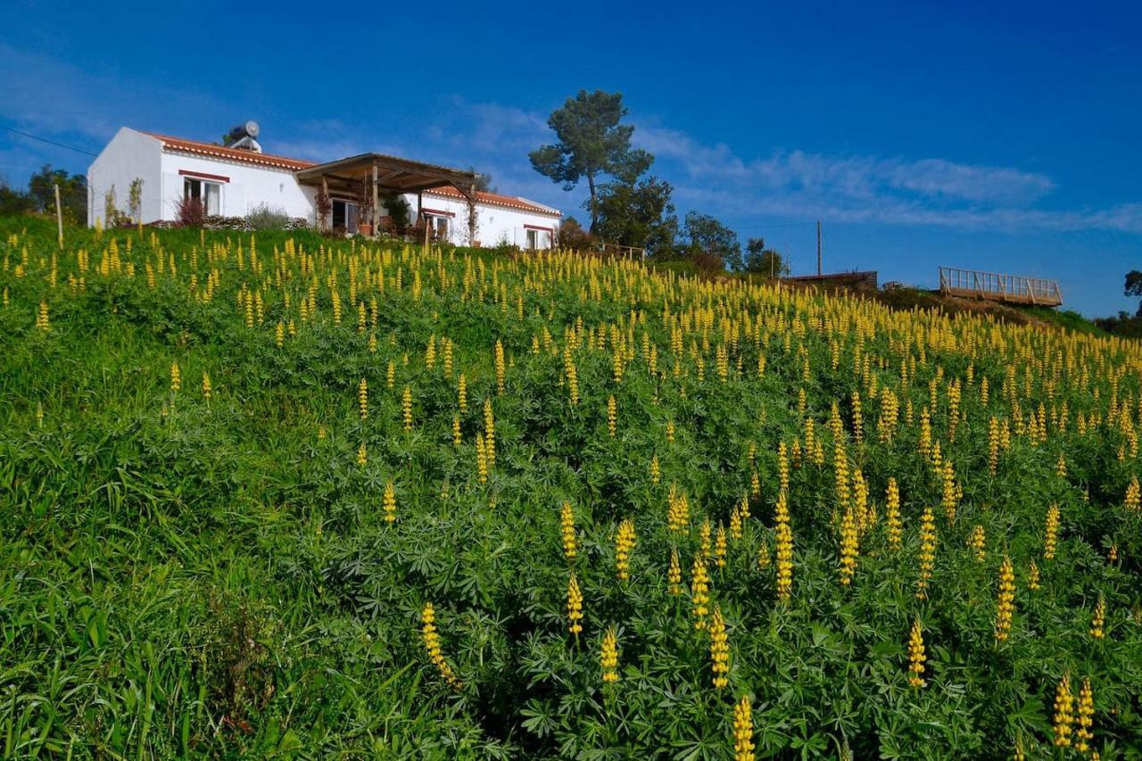 Cal Velho - Holiday Lodge São Luis Exteriér fotografie